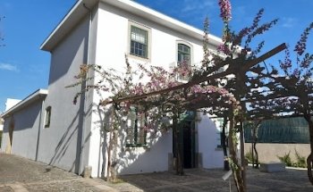 Casa del Cine Manoel de Oliveira