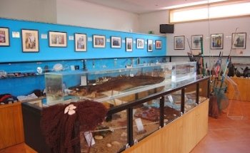 Museo Adão Soares Rey de los Congros