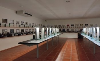 Museo del Vino de Bairrada