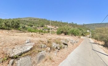 Sesmaria Palmeira