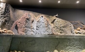 Museo Zêzere
