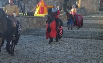 António Augusto DELFIM