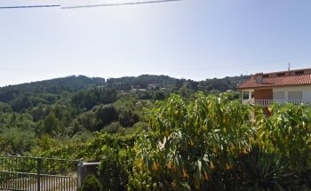 Molino