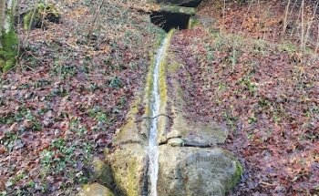 Fuente de San Pirmin