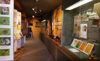 Museo del pueblo de Jegenstorf