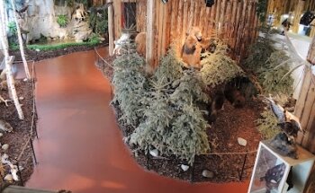 Museo INDIAN LAND