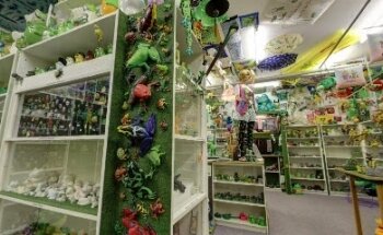 Museo de las Ranas