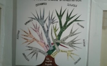 Sprachpanorama Laufenburg