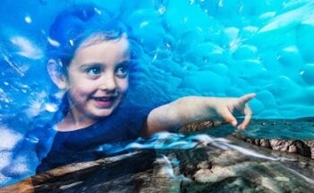 Foro Mundial de la Naturaleza