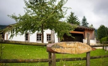Casa del Banneret Wisard