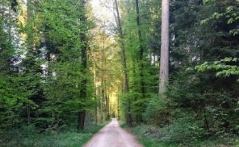 Sendero Forestal de Solothurn
