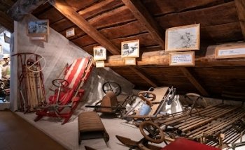 Museo Bob