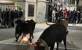 Fuente De La Plaza