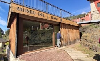 Sequer de les pinyes - Museu del Bosc