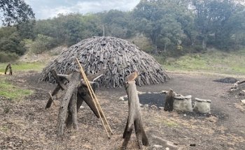 Carboneras de Mecerreyes