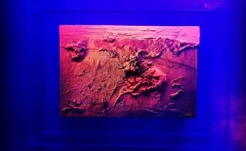 Estudio Artistico José Antonio Quintana