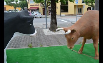 Homenaxe As Vacas MZ