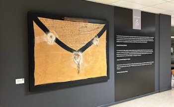 Espacio Suárez-Chamorro Económicas UMA