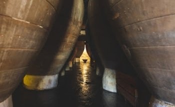Bodegas Torres Filoso