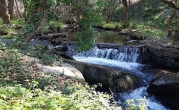 Muiños de Río de Vaa