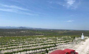Centro De La Cultura Del Vino