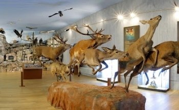 Museo de la Naturaleza Valle del Alberche