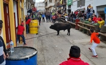 Hermandad de San Marcos