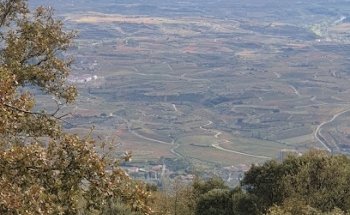 Mirador Laguardia
