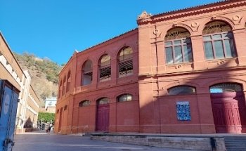 Cofradía Sgdo Descendimiento y Mª Stma. Angustias