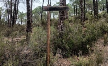Pinturas ruprestes de Henarejos