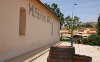 Museo del Vino