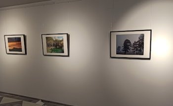 Museo de Cuenca - Sala de Exposiciones
