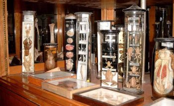 Museo de Historia Social y Ambiental de Wuppertal