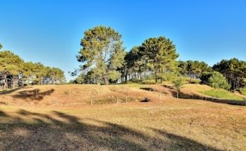 Castro grande de Neixón