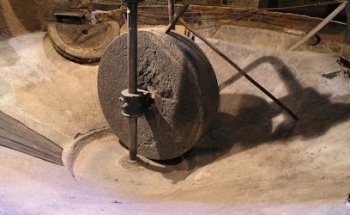 Museo del aceite