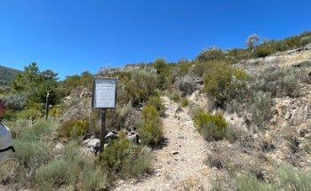 Minas De Wolframio