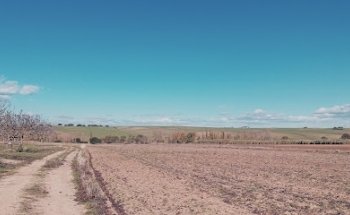 Finca Experimental 'La Higueruela'
