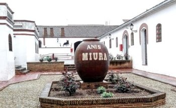 Museo de los Licores Miura