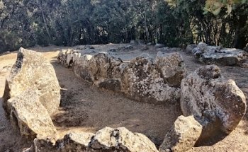Los Llanos Trikuharria