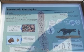 Yacimiento de los Arroturos