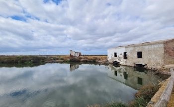 Molino Mareal de Pozo del Camino