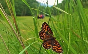 Punto de Información Red Natura 2000 en Valles Pasiegos - Naturea Cantabria