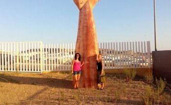 Museo Paleontológico de La Ballena