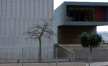CAE