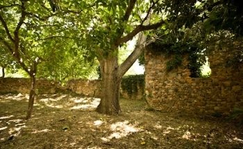 Museu d'Història de Cambrils- Molí de l'Ardiaca