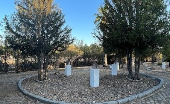 ESTUDIO ESCULTOR PEPE GÁMEZ