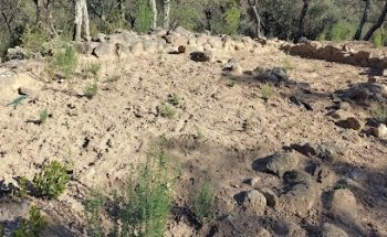 Site ibérique de Puig del Castell