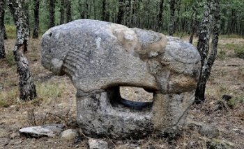 Yegua de Irueña