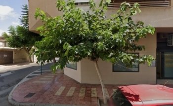 Casa Ortega