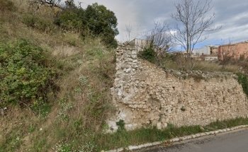 Museo Isurus